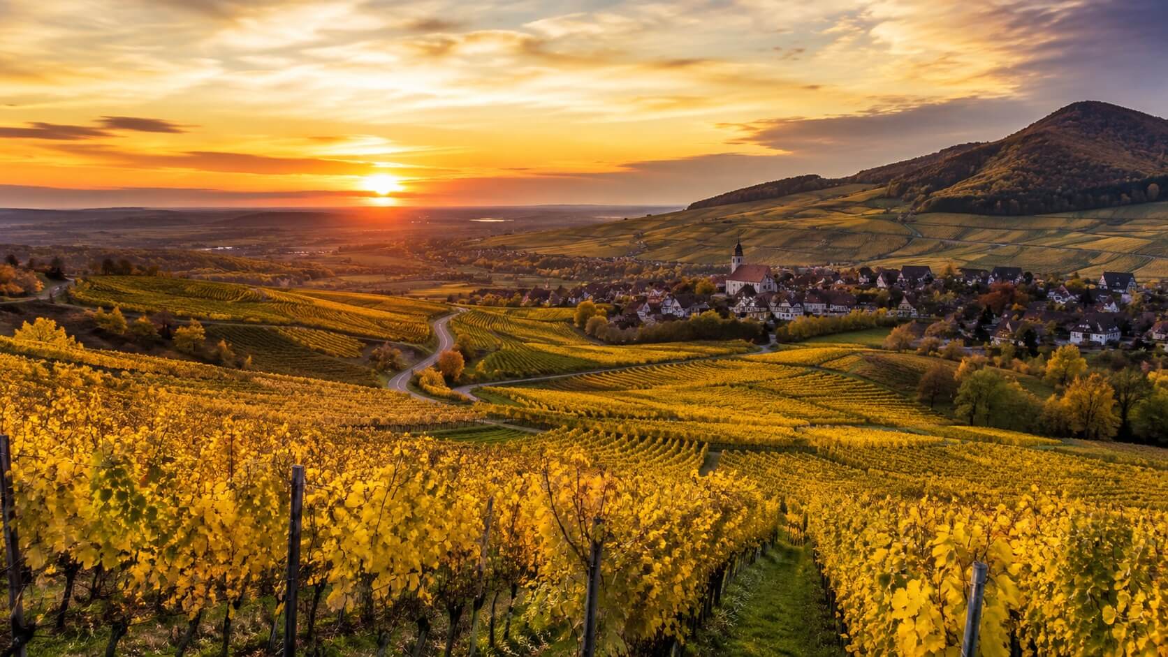 Panorama des vignobles alsaciens en automne avec un village traditionnel sur la Route des Vins d’Alsace.