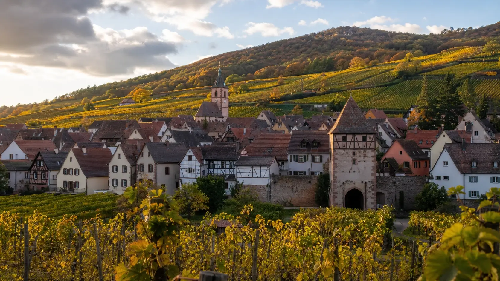 Vue d’Ammerschwihr, village viticole alsacien, avec ses vignes du Kaefferkopf et ses vestiges historiques sur la Route des Vins.
